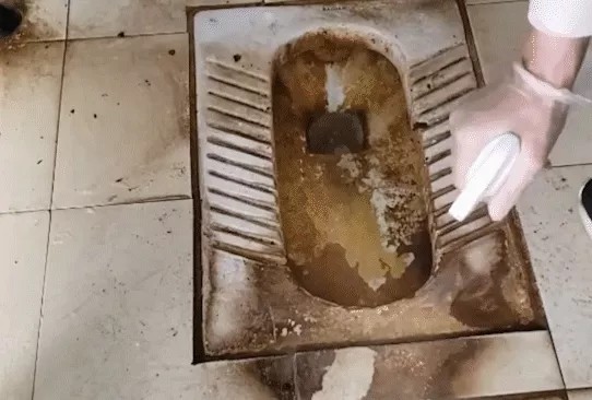 1694697732947589.jpg 9dd6db12c62772b62ec4b8b253ce36a0.jpg