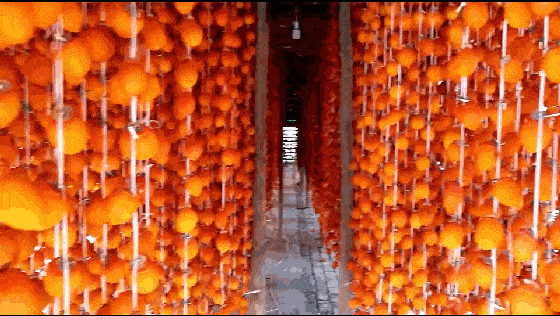 1699350698625777.gif 1.gif