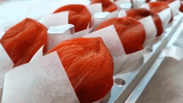 1699350754457870.jpg 2.jpg