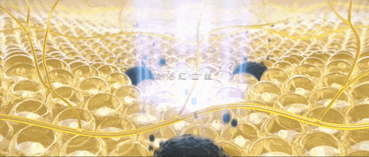 1701149745116856.gif 1.gif