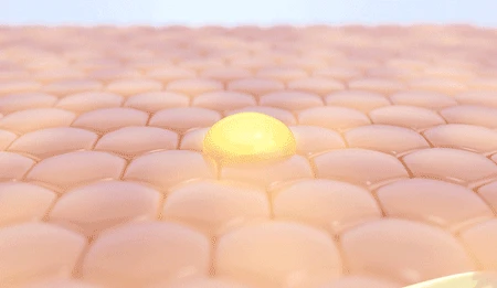 1701149821831152.gif 1.gif