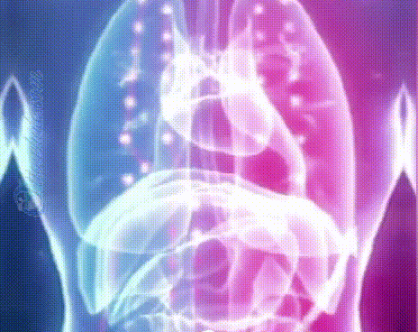 1703218558473343.gif 2.gif