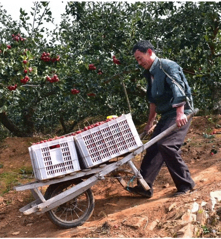 1704791259688386.gif 23e279edc0738d2a841b83684d3f6203.gif