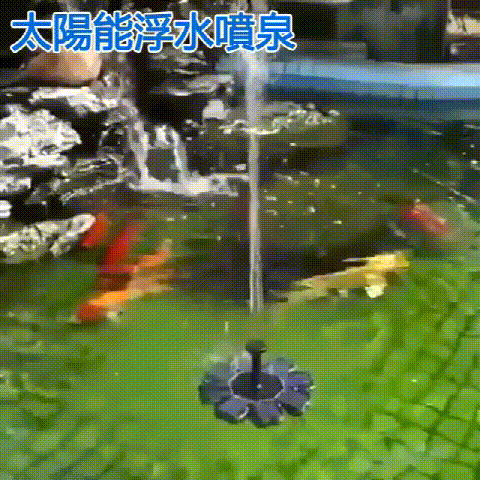 5333965529fc0d9d5e8e6caf8c7113b5 (1).gif