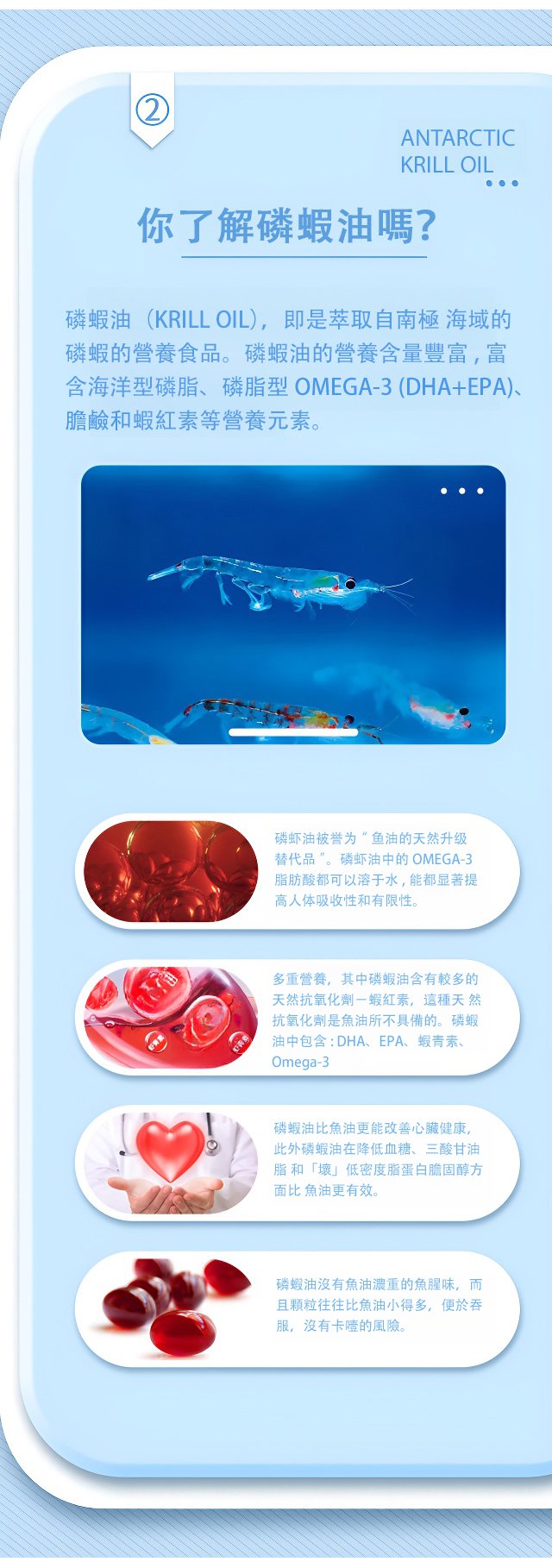 1727924613454794.jpg 10.jpg