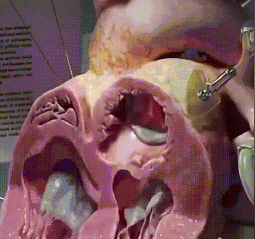 1727924649765730.gif 13.gif